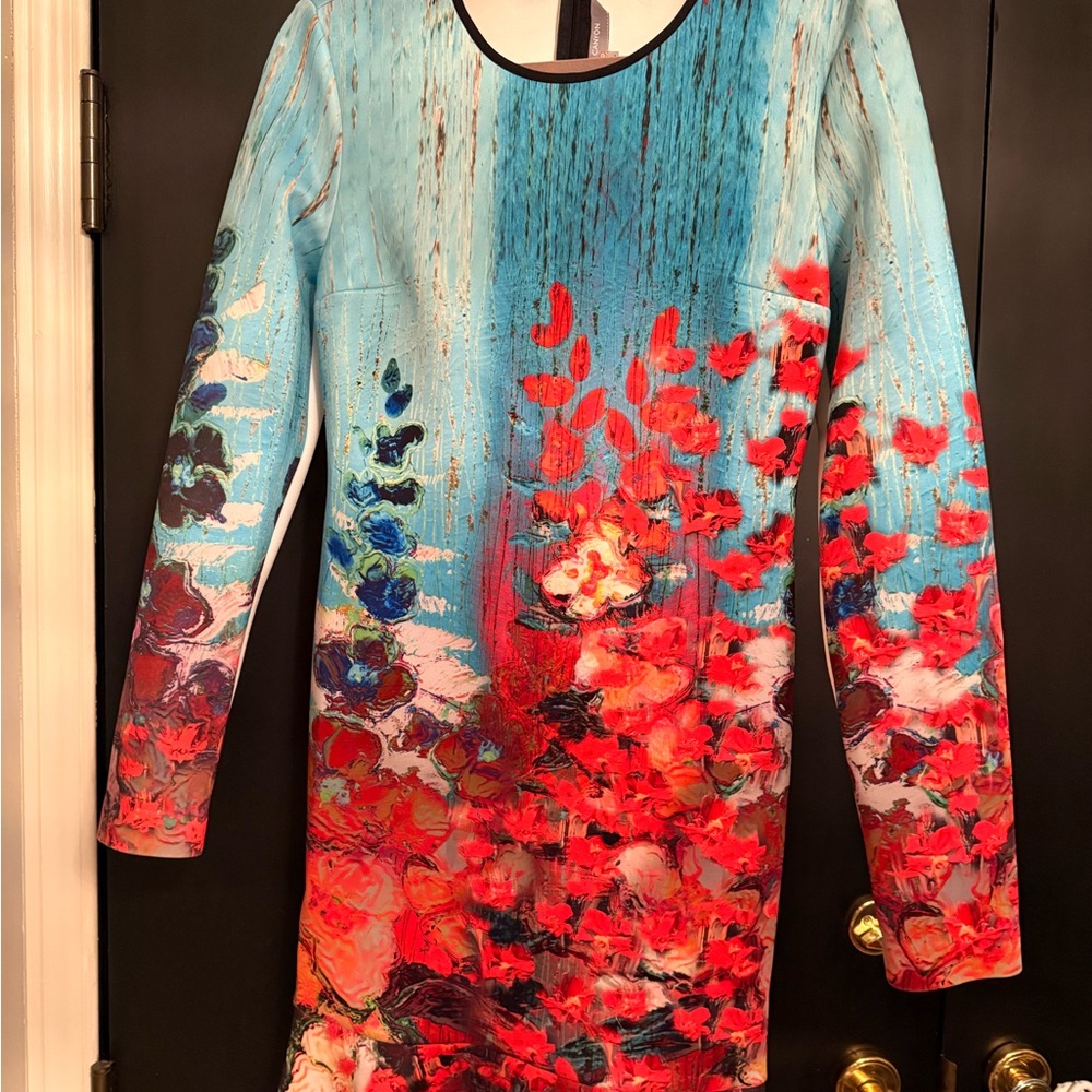 Clover Canyon Multicolor Floral Long Sleeve Dress